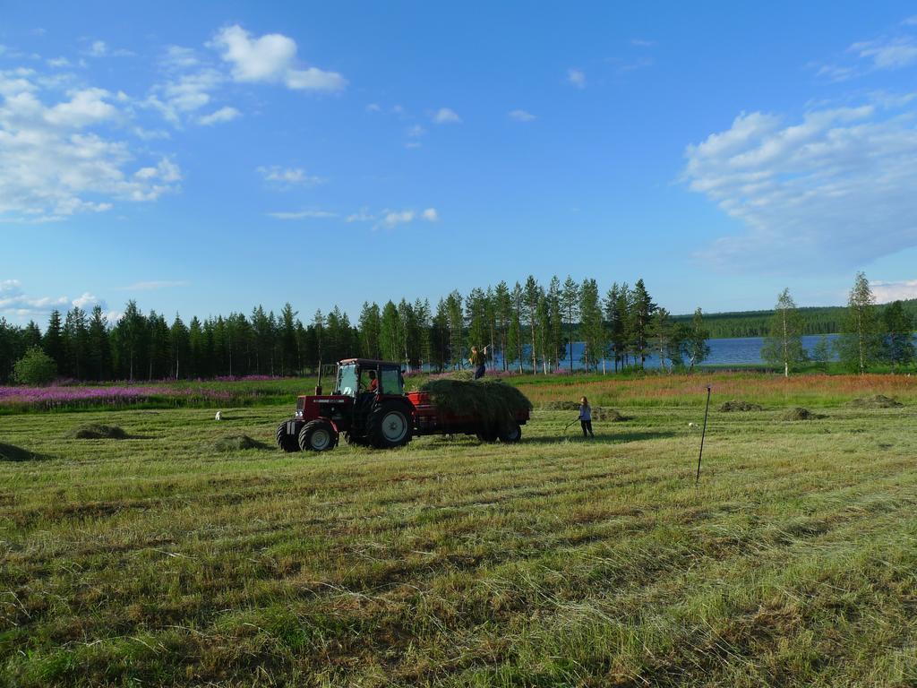 Heidin Mummola Farm Villa Pello Bagian luar foto